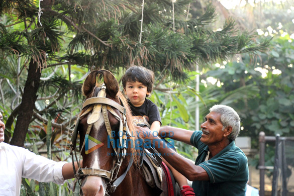 taimur ali khan snapped playing on horse ride at amrita aroras house 2