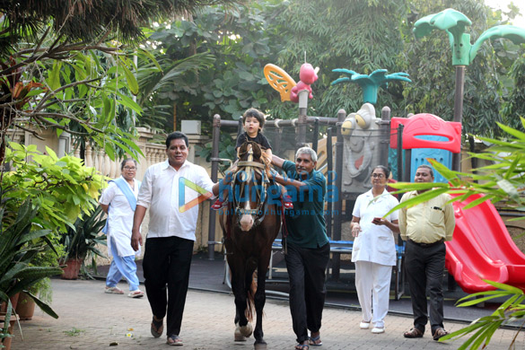 taimur ali khan snapped playing on horse ride at amrita aroras house 3