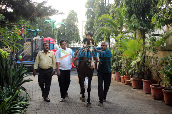 taimur ali khan snapped playing on horse ride at amrita aroras house 5