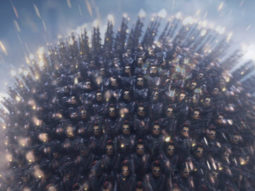 Box Office: 2.0 hangs on well on Friday, all eyes on rest of the weekend