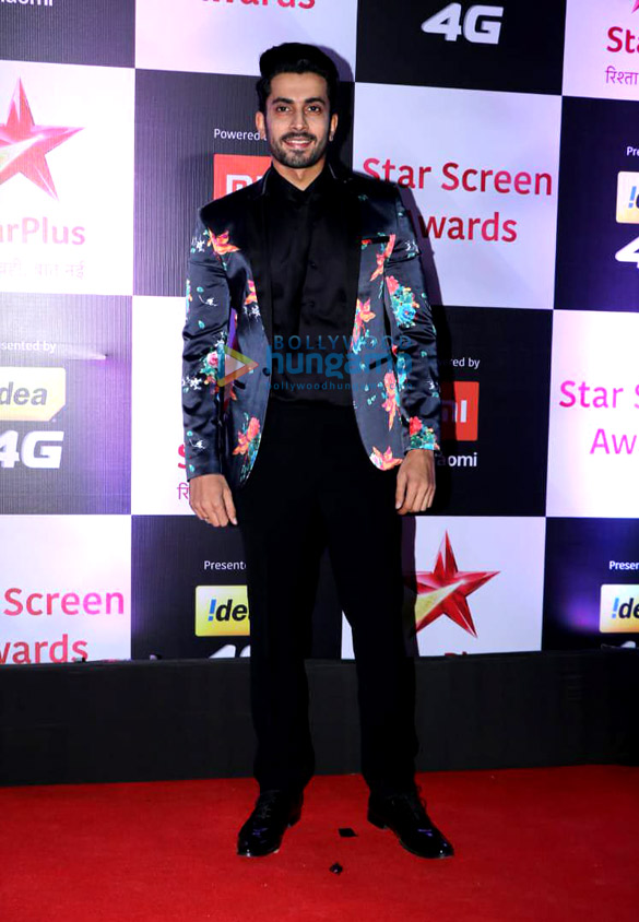 celebs grace the star screen awards 2018 22