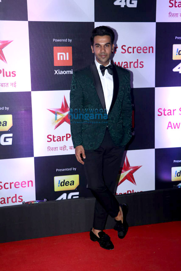 celebs grace the star screen awards 2018 34