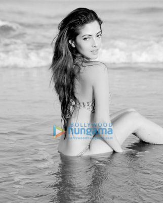 Celebrity Photos of Riya Sen