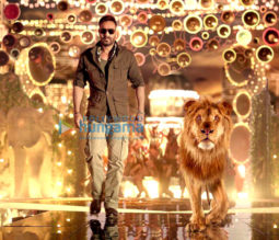 Movie Stills Of The Movie Total Dhamaal