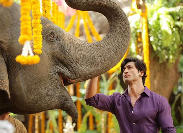 “It was the biggest high of my life when the elephant understood my command for the first time”, says Vidyut Jammwal “It was the biggest high of my life when the elephant understood my command for the first time”, says Vidyut Jammwal