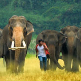 "I didn’t realise that I was risking my life" - Vidyut Jammwal talks about DEADLY ACTION in Junglee