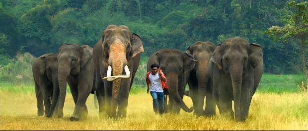 "I didn’t realise that I was risking my life" - Vidyut Jammwal talks about DEADLY ACTION in Junglee