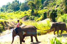 Movie Stills Of The Movie Junglee