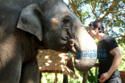 Movie Stills Of The Movie Junglee
