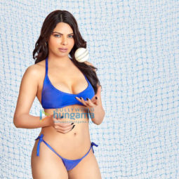 Celebrity Photo Of Sherlyn Chopra