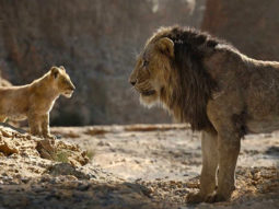 Box Office – The Lion King does very well in the second weekend, now targets Fast and the Furious 7 lifetime in India