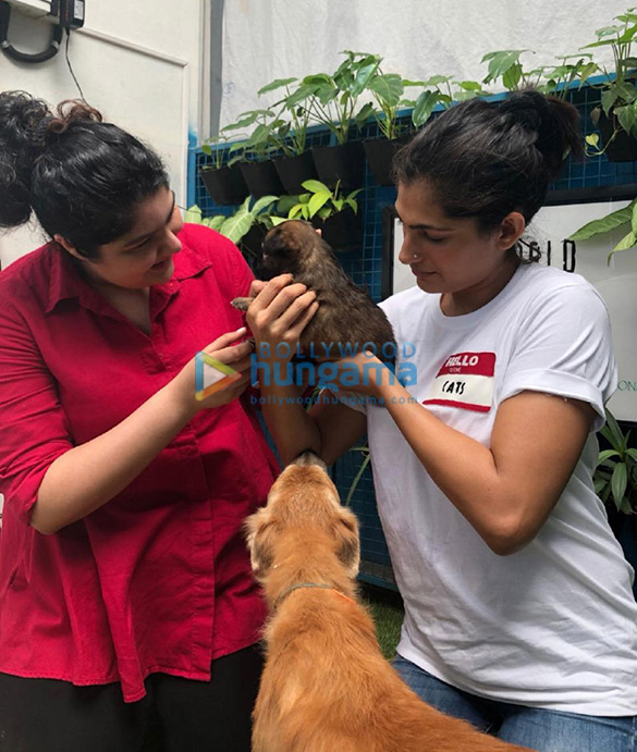 photos anshula kapoor and kubbra sait spotted at world for all animal shelter 2