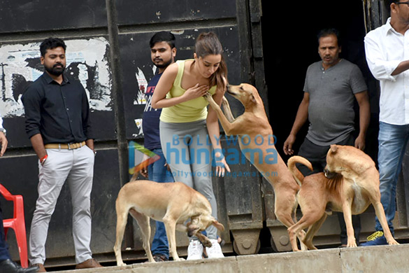 photos shraddha kapoor snapped playing with stray dogs 1