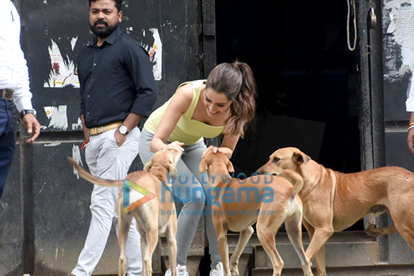 photos shraddha kapoor snapped playing with stray dogs 3