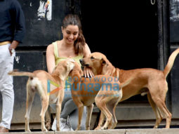 Photos: Shraddha Kapoor snapped playing with stray dogs