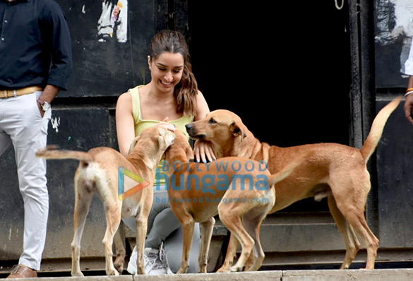 photos shraddha kapoor snapped playing with stray dogs 4