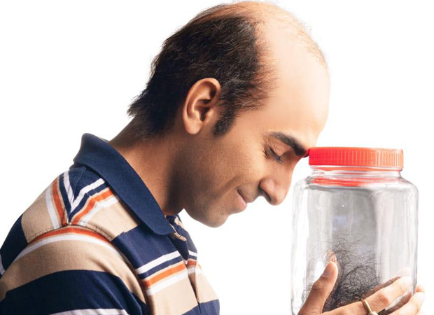 Box Office - Bala is yet another superhit for Ayushmann Khurranna, set to score a century 