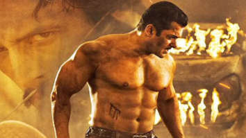 Dabangg 3 Box Office Collections: The Salman Khan starrer gets a bit better on Saturday, overall numbers stay low though