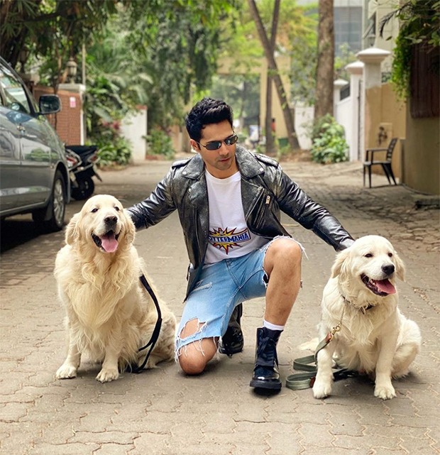 Anushka Sharma mocks Varun Dhawan as he posts photos with two dogs