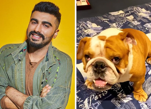 Watch: Arjun Kapoor introduces us to his 'direction dyslexic' dog Maximus