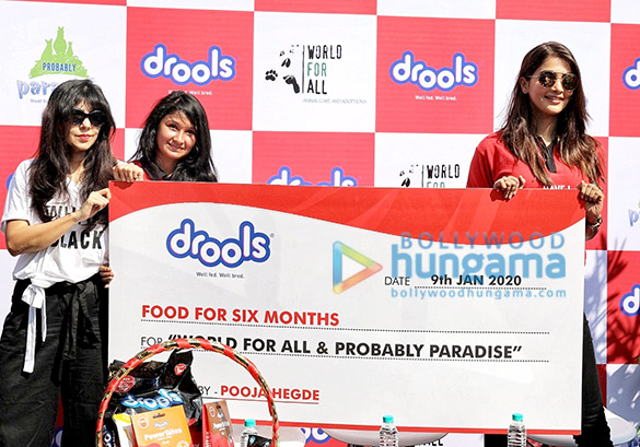 photos pooja hegde attends the drools donate food for animals event 1