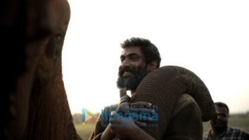 Movie Stills Of The Movie Haathi Mere Saathi