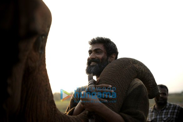 haathi mere saathi 1