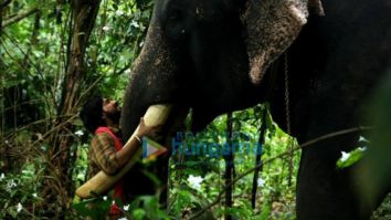 Movie Stills Of The Movie Haathi Mere Saathi