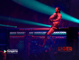 Movie Wallpapers of Liger
