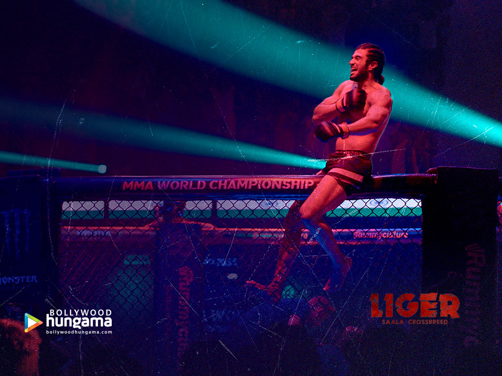 Liger Liger