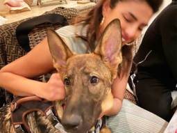 Amid Coronavirus outbreak, Priyanka Chopra enjoys her time at home with some serious cuddle therapy