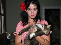 Katy Perry mourns the death of her beloved cat, Kitty Purry