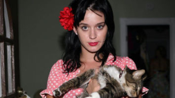 Katy Perry mourns the death of her beloved cat, Kitty Purry