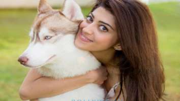 Celebrity Photo of Pranitha Subhash