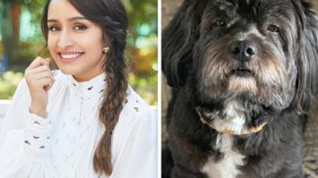 Shraddha Kapoor shares a funny meme about Shyloh and it has a Shahid Kapoor reference