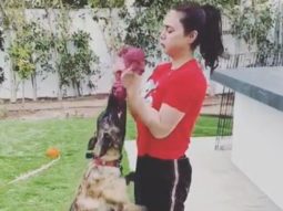 Watch: Preity Zinta does an improvised workout session with her pet dog Bruno