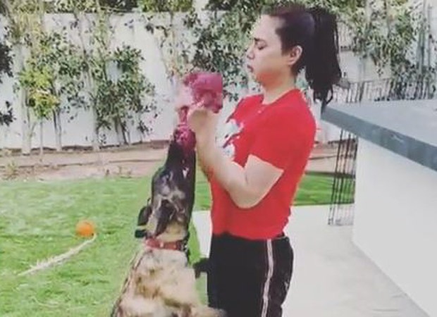 Watch: Preity Zinta does an improvised workout session with her pet dog Bruno