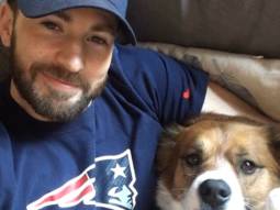 Chris Evans fails at grooming his dog Dodger, says it went so wrong, so fast