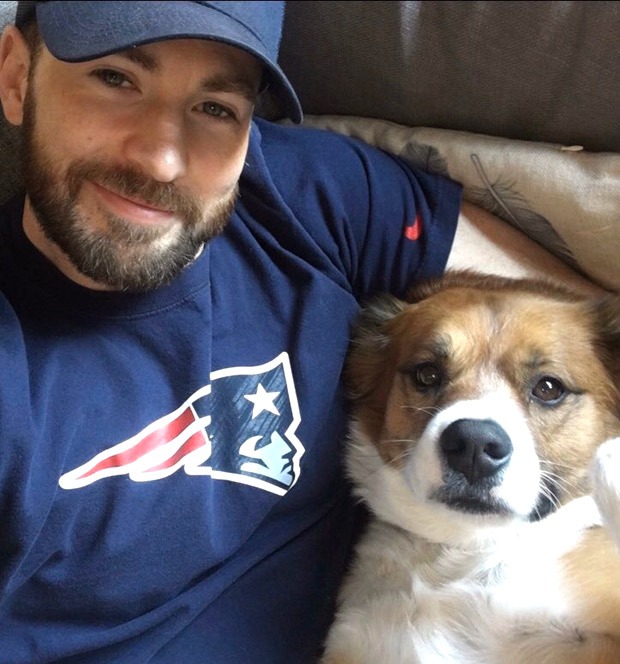Chris Evans fails at grooming his dog Dodger, says it went so wrong, so fast