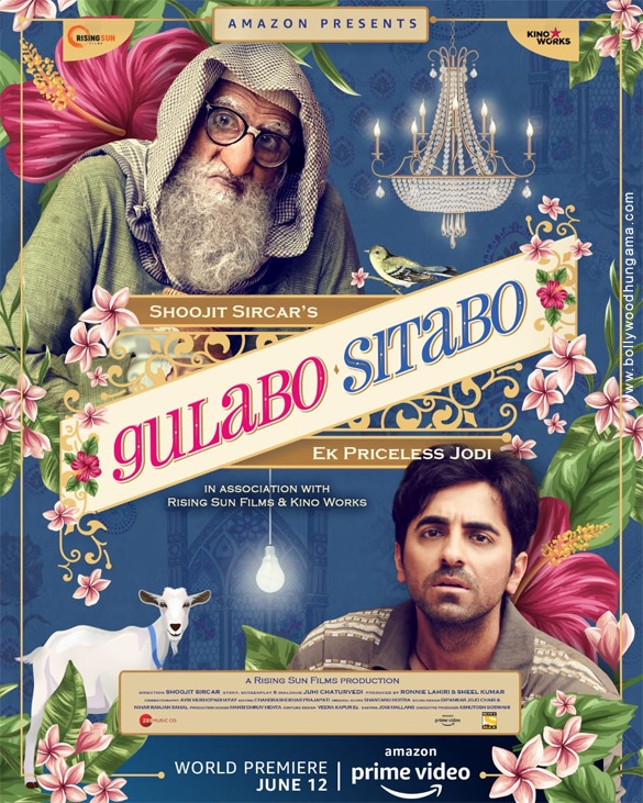 gulabo sitabo 9