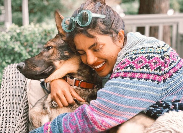 Priyanka Chopra Jonas cuddling with Gino the German shepherd is an image of every dog person ever!
