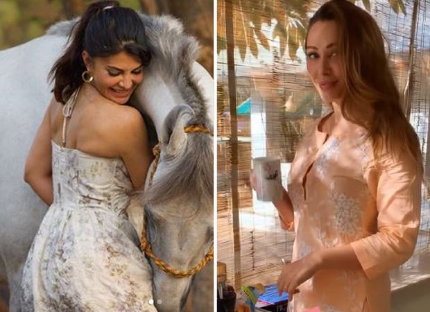 Inside Salman Khan’s Panvel farmhouse with Jacqueline Fernandez and Iulia Vantur
