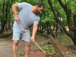 Salman Khan’s Panvel farmhouse affected by Cyclone Nisarga; Iulia Vantur shares visuals