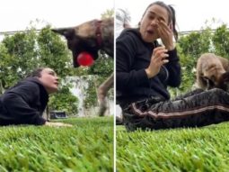 WATCH: Preity Zinta’s pet Bruno tries to sabotage her workout while Gene Goodenough tries to stop him