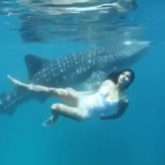 Watch: Katrina Kaif swims along with her 'incredible friend' in the ocean 