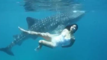 Watch: Katrina Kaif swims along with her ‘incredible friend’ in the ocean 