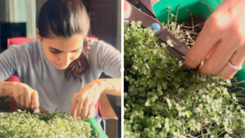 Samantha Akkineni shares results of her first harvest of cabbage microgreens