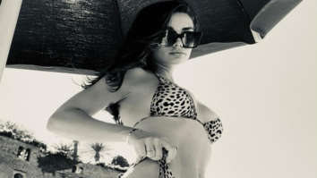 Amy Jackson sizzles in animal print bikini on a sunny day