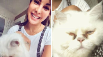 Jacqueline Fernandez shares selfies with her cat after calming meditation session