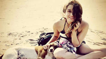 Shraddha Kapoor comes to the aid of stray animals